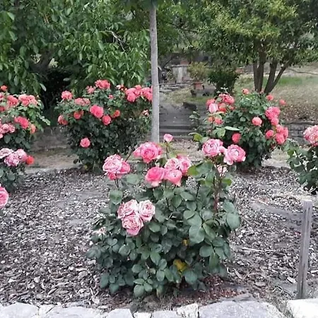 Agriturismo Poponi Camera Rosa 3*