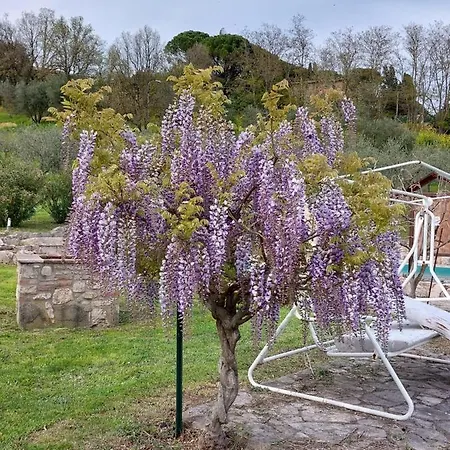 Agriturismo Poponi Camera Rosa ゲストハウス